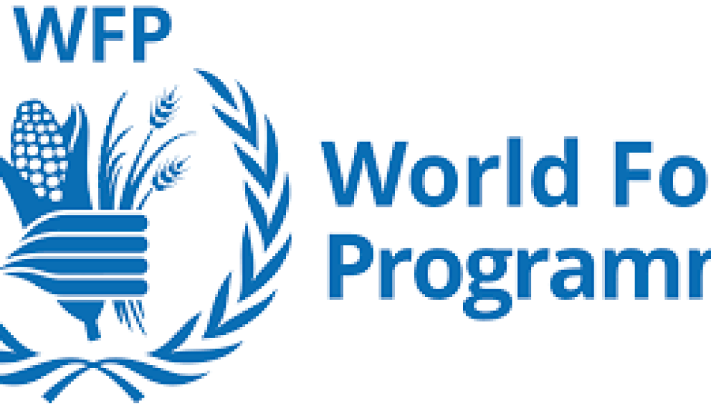 wfp Aviation Officer P4 Vacancy-Job Ref: WJCAWFP/2107/2025828